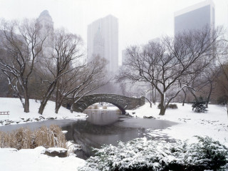 Bridge pond snow park tall - tall building free wallpaper