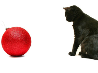 Black cat red ornament white - a red ornament free wallpaper