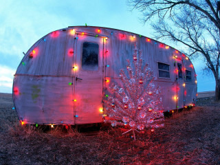 Trailer christmas lights tree front - a tree in the foreground free wallpaper