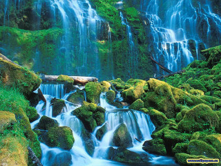 Waterfall moss rocks water log 2 - impressionist free wallpaper