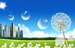 Dandelion city bubbles flying background - a dandelion free wallpaper
