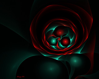 Red green flower black background - center free wallpaper