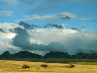 Field trees mountains clouds sky 2 - murata range free wallpaper