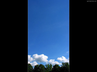 Large kite flying sky trees - benoit b. mandelbrot free wallpaper
