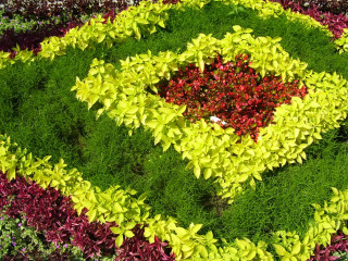 Circular flower arrangement garden green - a mosaic free wallpaper
