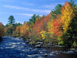 River trees fall colors rocks 4 - the water below free wallpaper