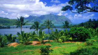 Lush green field lake mountains - a cloudy day free wallpaper