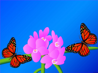 Butterflies flying pink flower blue 2 - a group of butterflies free wallpaper