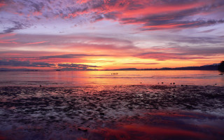 Sunset boat pink sky beach - a boat in the distance free wallpaper