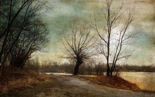 Dirt road trees water distance - both side of it free wallpaper