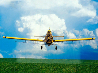 Yellow airplane cloudy sky green 2 - the wing free wallpaper
