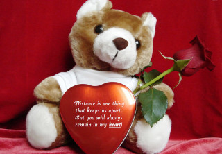 Teddy bear heart rose message - us free wallpaper