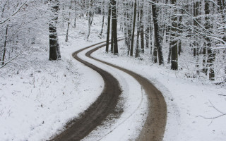 Snow covered road forest winter 2 - both side of it free wallpaper