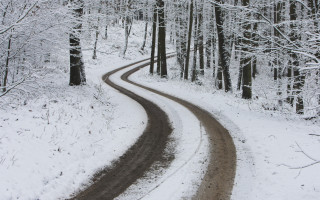 Snowy road woods curve trees - a snowy road free wallpaper