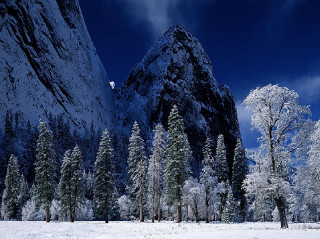Snowy landscape trees mountains blue 2 - tree and mountains free wallpaper