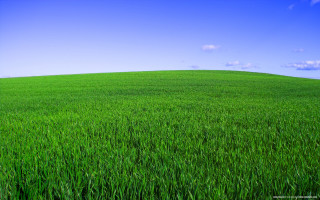 Green grass blue sky clouds 7 - grass free wallpaper