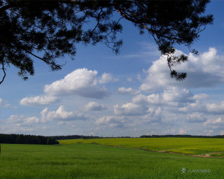 Field tree sky clouds dirt - a dirt path free wallpaper