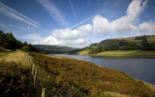 Lake green hills trees sunny 5 - lush green hill and trees free wallpaper
