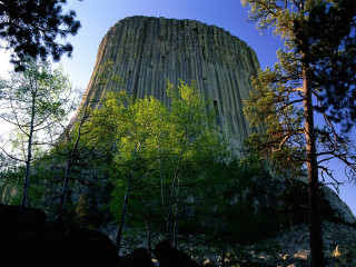 Tall rock tower forest trees 4 - over a forest free wallpaper