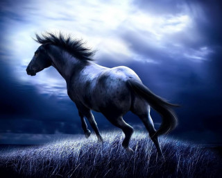 Horse running field moon clouds - a full moon behind free wallpaper