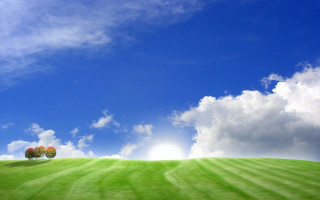 Green field three trees blue - the cloud free wallpaper