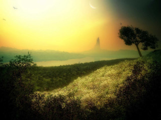 Sunset tree hill bird flying - a painting of a sunset free wallpaper