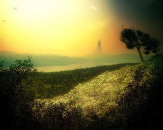 Sunset tree hill bird flying 2 - david free wallpaper