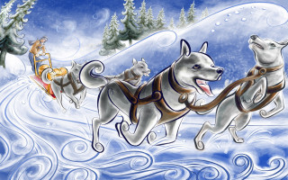 Dog sled three dogs riding - a man free wallpaper for desktop