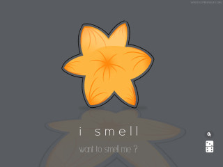 Starfish i smell want to - art informel free wallpaper