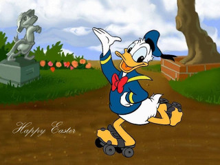 Cartoon duck skateboard dirt road - donald roller wilson free wallpaper