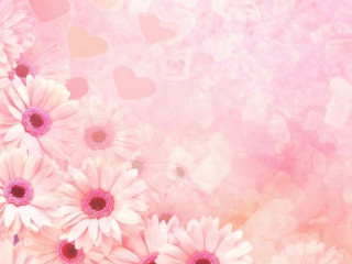 Pink background white flowers hearts - heart free wallpaper