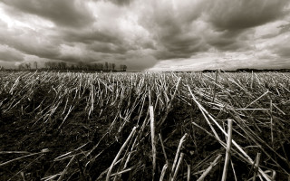 Field grass clouds sky background 3 - chris friel free wallpaper