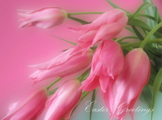 Pink flowers vase table pink - digital free wallpaper