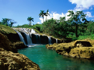 Tropical waterfall cascade palm trees 2 - tropical free wallpaper