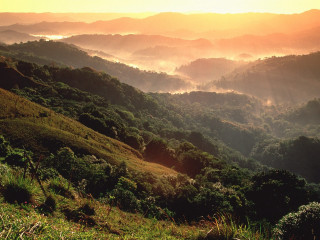 Valley trees hills background scenery - a view of a valley free wallpaper