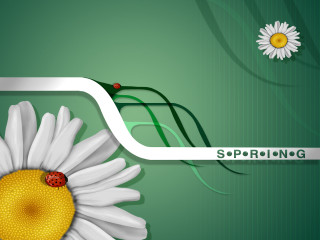 White flower ladybug green background - a white stripe free wallpaper