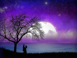 Couple tree purple sky full - full free wallpaper