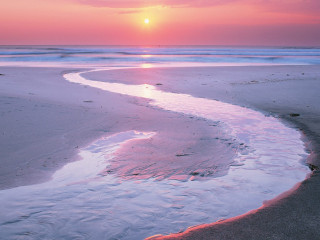 Sunset beach stream person walking 3 - betye saar free wallpaper