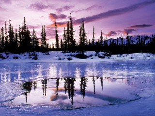 Lake ice floe trees sunset - sunset free wallpaper