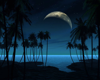 Full moon tropical island night 3 - palm tree and a body of water free wallpaper
