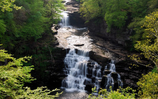 Waterfall forest trees bench nature 7 - a waterfall in a forest free wallpaper