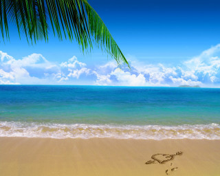 Palm tree beach heart sand 3 - beach free wallpaper