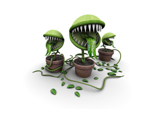 Plants mouths group of nature - biopunk free wallpaper
