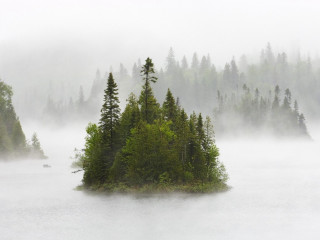 Small island lake trees foggy 2 - the foggy day free wallpaper