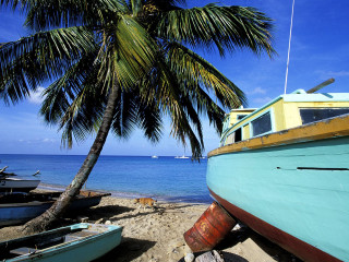 Boat beach palm ocean sky - sandy free wallpaper