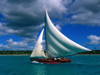 Sailboat white sail water beach - a sailboat free wallpaper