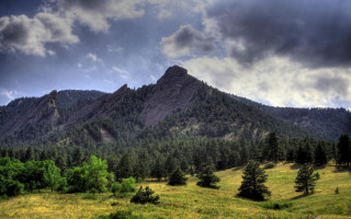 Mountain grassy field trees cloudy 3 - free forest wallpaper