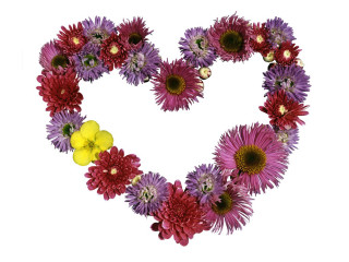 Heart shaped flower arrangement yellow - the shape of a heart free wallpaper