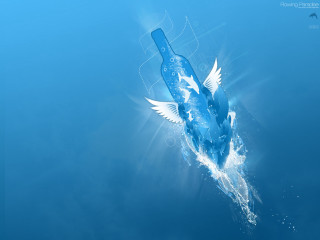 Bottle floating water bird back - a bottle free wallpaper