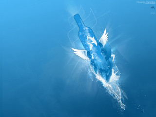 Bottle floating water bird back 3 - a bottle free wallpaper